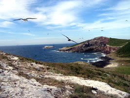 isabela island, east side